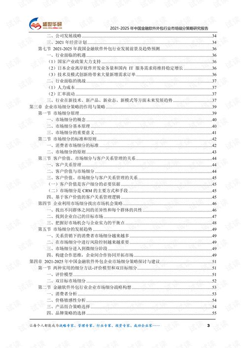 中国金融软件外包行业市场细分策略研究（2021-2025）